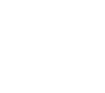 1010